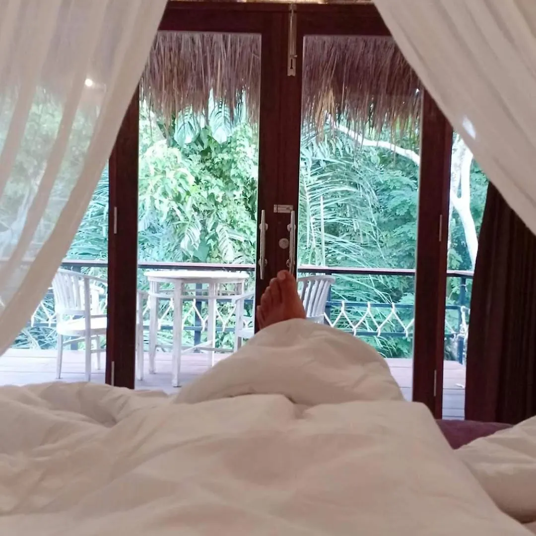 Luxery Family Giri Villa Ubud  Lodge